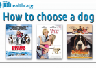15 questions how to choose a dog, 