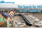 Lost dog, Crating, Dog escapes crate, leash, collar, tag, OR Tambo International, Airport, puppy nightmare, family nightmare, dieregesondheid, Animal Health, Pet Insurance, diere versekering, troeteldierversekering suid afrika, South Africa, Pet Health Care, Pet Care health, petcarehealth, pethealthcare, ask the vet, dieremaniere, animal behaviour, sick animals, siek diere, honde, katte, Cats, Dogs, veterinary advice, dog walks, dog events, pet wellness, kitten care health, pet care health insurance, 