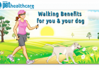 Walking benefits for you and your dog, dieregesondheid, animal health, pet insurance, diere versekering, troeteldierversekering suid afrika, south Africa, Pet Health Care, pet care health, petcarehealth, pethealthcare, ask the vet, dieremaniere, animal behaviour, sick animals, siek diere, honde, katte, cats, dogs, veterinary advice, dog walks, dog events, pet wellness, kitten care health, pet care health insurance, pet insurance health, pet care news, pet health care questions, pet care health claim form, p
