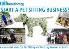 Pet Sitting and Dog walking services in South Africa