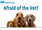 How to calm your dog down for a visit to the vet, dieregesondheid, animal health, pet insurance, diere versekering, troeteldierversekering suid afrika, south Africa, Pet Health Care, pet care health, petcarehealth, pethealthcare, ask the vet, dieremaniere, animal behaviour, sick animals, siek diere, honde, katte, cats, dogs, veterinary advice, dog walks, dog events, pet wellness, kitten care health, pet care health insurance, pet insurance health, pet care news, pet health care questions, pet care health cl