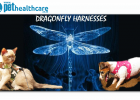 Dragonfly Pet Harnesses, Pet Accessories, Cats, Dogs, Pets