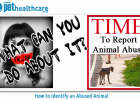 How to Identify Abused Animals