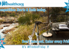 Pet Friendly Accommodation Bushbreak Limpopo Little Carthage Pet Health Care South Africa Luxury Self Catering Bush Lodge Hoedspruit