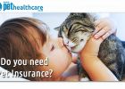 Pet Insurance South Africa Pet Health Care PAWPAW