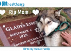 A will for my pet RIP Pet owner