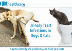 Pet Health Care Urinary Tract Infections